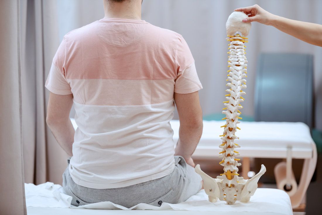 Chiropractic patient sitting next to spine model 